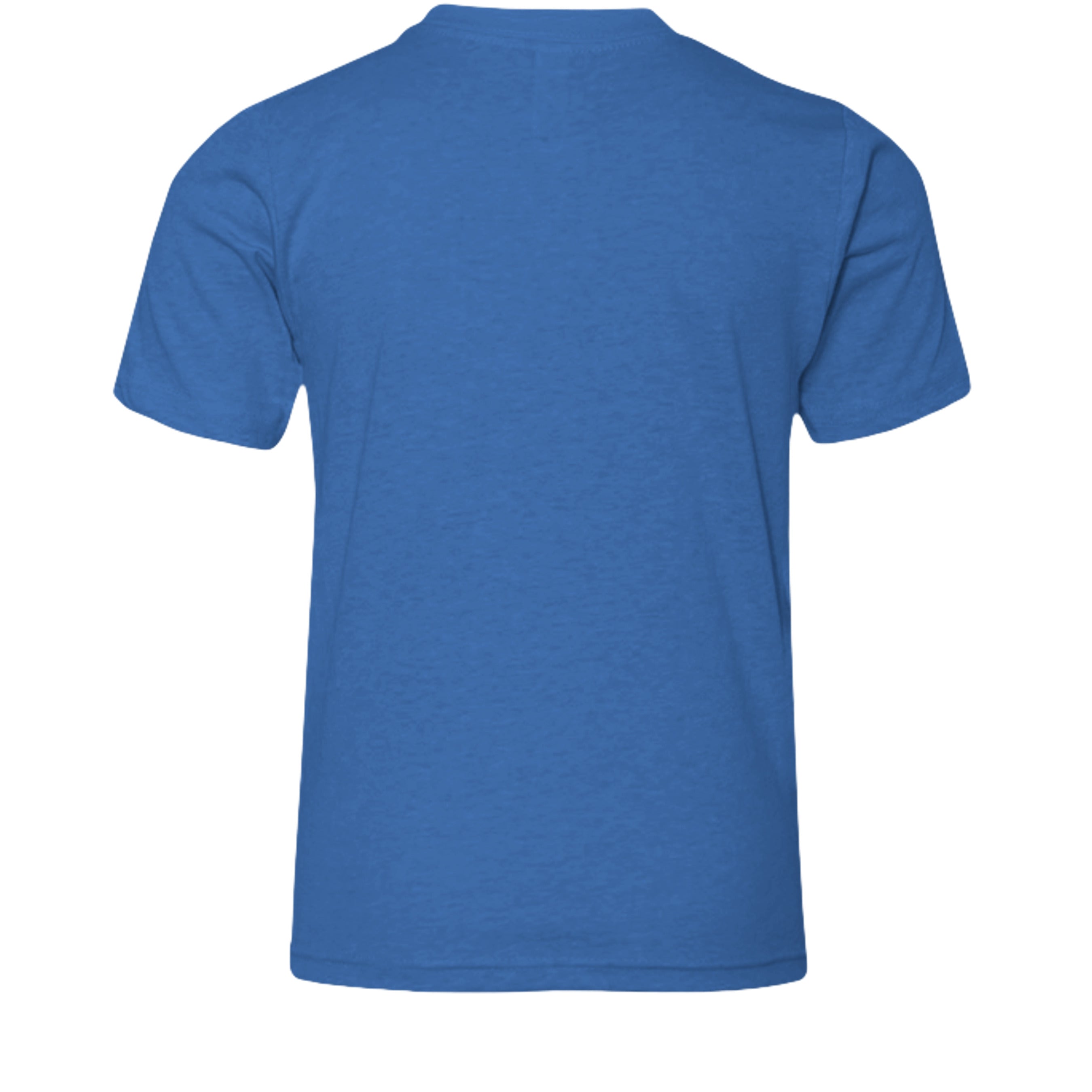 Heather True Royal - 3001YCVC - BACK
