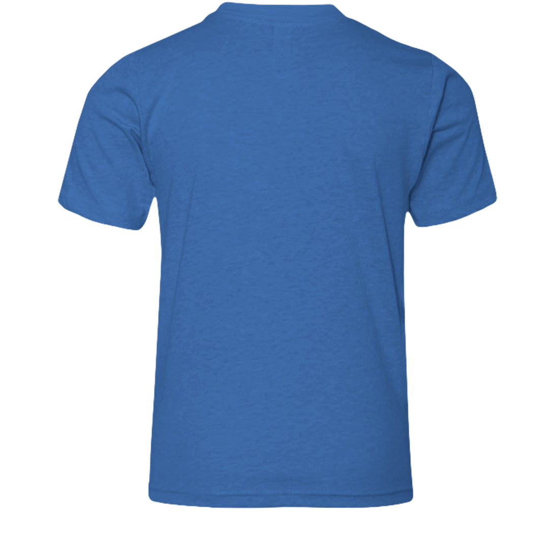Heather True Royal - 3001YCVC - BACK